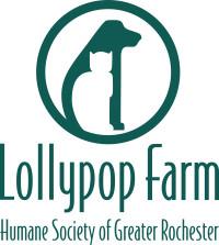 Lollypop Farm